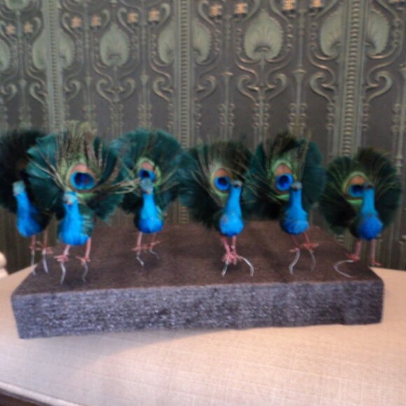 vintage peacock feather bird ornament - Picture 1 of 4